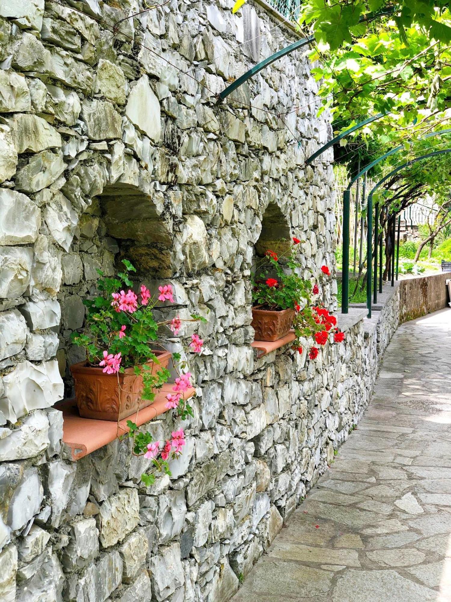 Hotel Villa Edera & La Torretta Монеглия Екстериор снимка